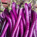 'Hangqie No.1' Eggplant Seeds, 100 Seeds