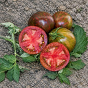 33 Moonlight Mile Tomato, 5 Seeds