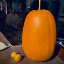 'Large Winter Melon' Gourd, 5 Seeds