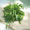 Italian Wild Arugula Seeds