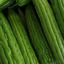 Jiemei 13 Bitter Gourd, 10 Seeds