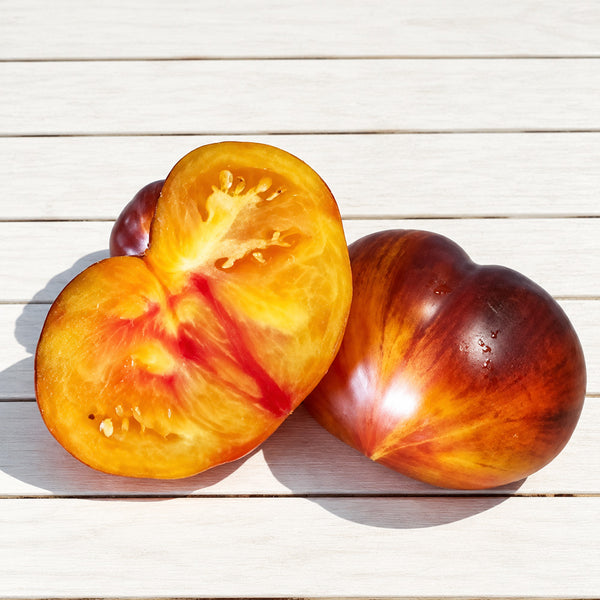 988 Sgt. Pepper's Bicolor Tomato, 5 Seeds