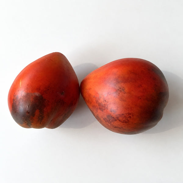550 Vater Rhein Blue Tomato, 5 Seeds