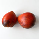 550 Vater Rhein Blue Tomato, 5 Seeds