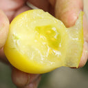 Yanbai No. 9 Cherry Tomato, 20 Seeds