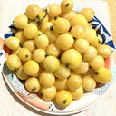Italian Ice Cherry Tomato, 20 Seeds