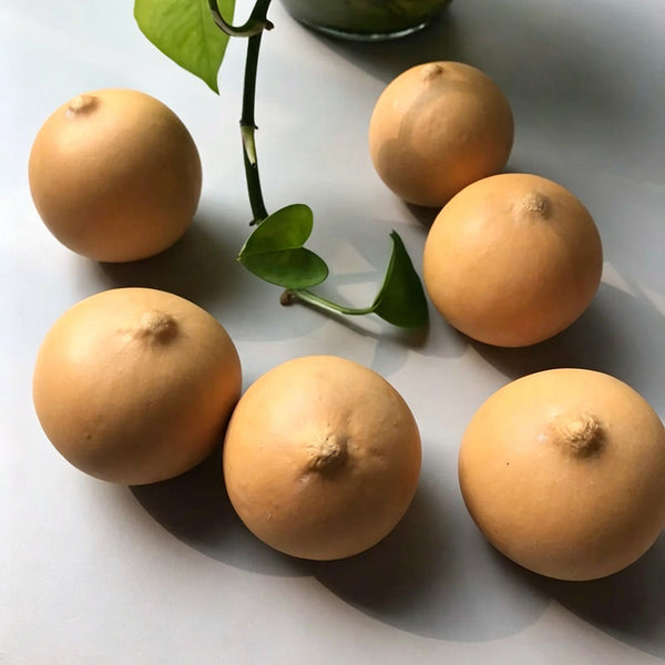 Egg Gourd, 10 Seeds