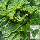 Early Royal Beijing Cabbage Seeds, 20g
