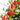 Mixed Color Gloriosa Lily, 2 Bulbs (Random Color)