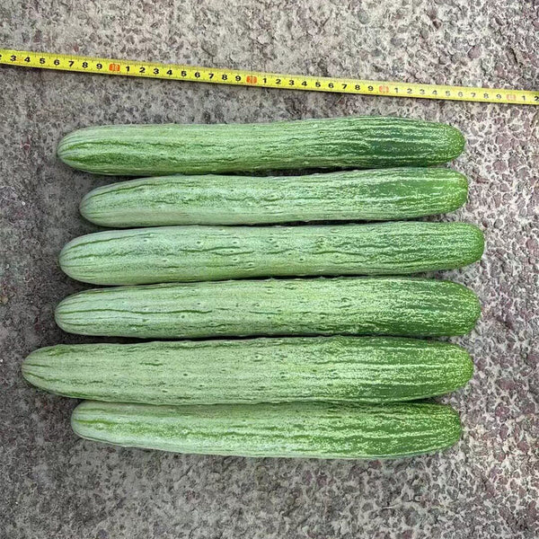 'Yanbai No.7' Long Green-and-white Cucumber Hybrid Seeds, 1g