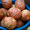 Queen Anne's Pocket Melon, 20 Seeds