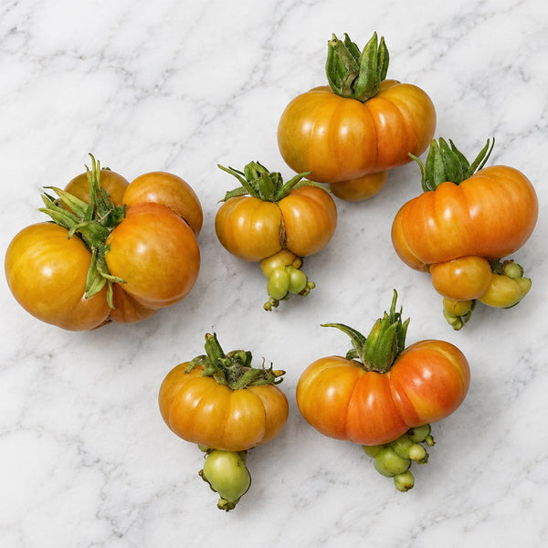 8 Dean's Chickie Cherry Tomato, 5 Seeds