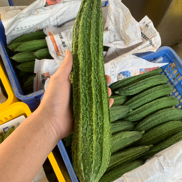 Traditional Angled Luffa Seeds, 5g