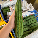 Traditional Angled Luffa Seeds, 5g