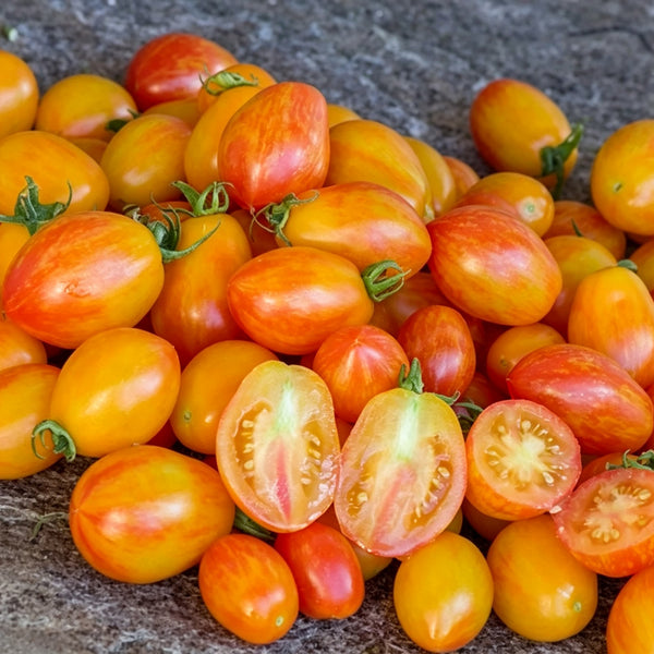 587 Lucfichoise Tomato, 5 Seeds