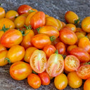 587 Lucfichoise Tomato, 5 Seeds