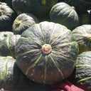 'Yi Nong Jin Li' Pumpkin Seeds, 10g