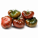 552 Adora iz RAF Tomato, 5 Seeds
