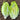 W1358 Crisp Sweet Oxheart Lettuce, 3 Grams ≈ 1000 Seeds