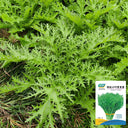 Small-leaved Potherb Mustard Seeds, 10g