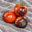 456 Dwarf Striped Antho Tomato, 5 Seeds