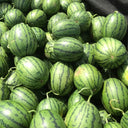 'Super Sweet 2K' Watermelon, 10 Seeds