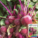 Dutch Red Beetroot Seeds, 2g