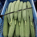 Jiemei Speckled Ridge Gourd, 20 Seeds
