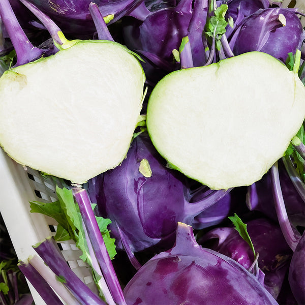 U2616 Purple Fruit Kohlrabi F1, 5 Grams ≈ 800 Seeds