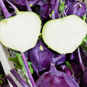 U2616 Purple Fruit Kohlrabi F1, 5 Grams ≈ 800 Seeds