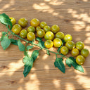 285 Cuizhu Cherry Tomato, 5 Seeds