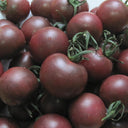 'Midnight Pearl' Cherry Tomato Seeds, 20 Seeds
