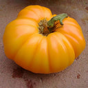Kellogg's Breakfast Tomato, 10 Seeds