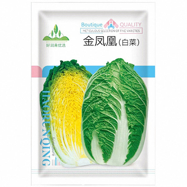 Golden Phoenix Chinese Cabbage Seeds, 5 × 4g Bags