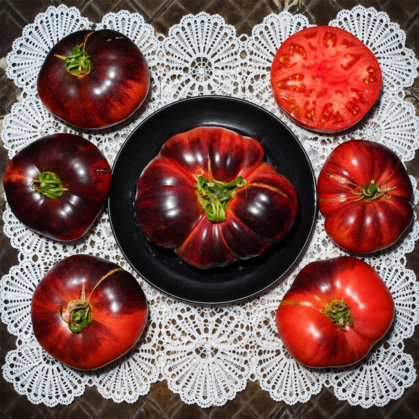 31 Pink Siberian Tiger Tomato, 5 Seeds