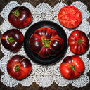 31 Pink Siberian Tiger Tomato, 5 Seeds