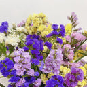 Wavyleaf Sea Lavender (mixed) Seeds, 200 Seeds