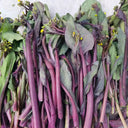 'Hongxiu 58' Flowering Stalk Seeds, 5g