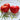 194 Boersi 40 Tomato, 5 Seeds