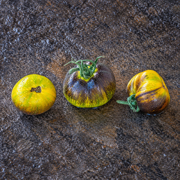 438 Muddy Waters Tomato, 5 Seeds