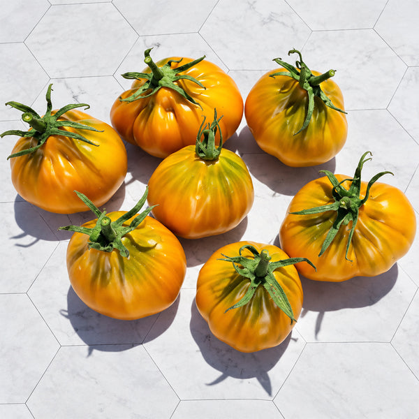 85 Ochre Pear F6 Tomato, 5 Seeds