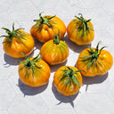 85 Ochre Pear F6 Tomato, 5 Seeds
