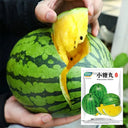 Yellow-Fleshed Sugar Globe Petite Watermelon Seeds, 15 Seeds
