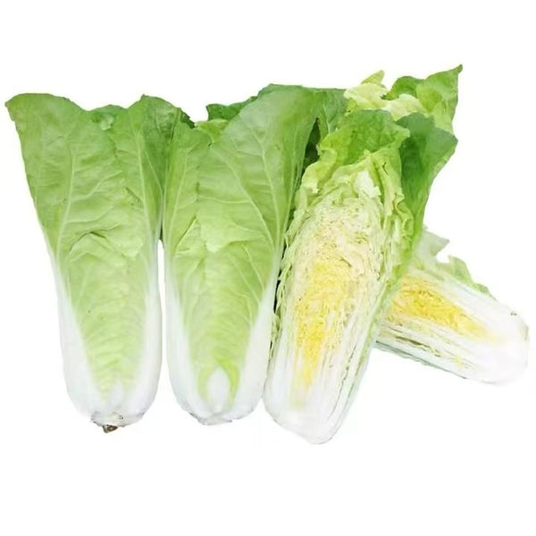 Fast Growing Pak Choi Seeds, 10g