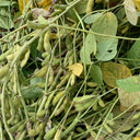 Small Black Soybean Seeds, 40g