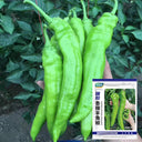 Ruila Spicy Goat's Horn Pepper Seeds, 50 Seeds