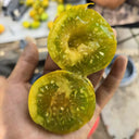 905 Dinosaur Egg Green Tomato, 5 Seeds