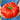 454 Big Zac Giant Tomato, 5 Seeds
