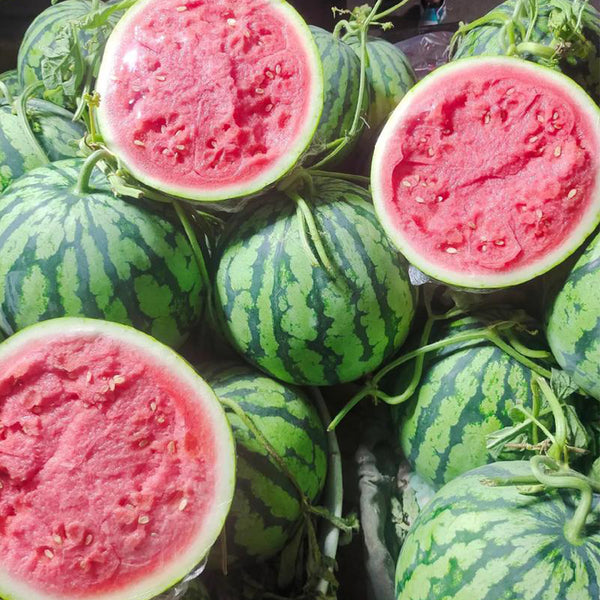 Xiumei Meidu Watermelon, 20 Seeds