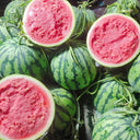 Xiumei Meidu Watermelon, 20 Seeds